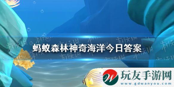 目前已知最长寿的鲸类是 神奇海洋11月11日答案！