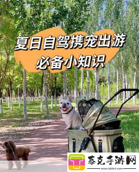 小汪汪携宠漫步新体验