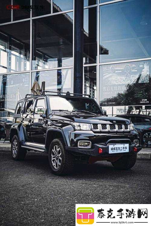 国产无人区码-SUV-引领越野新潮流！