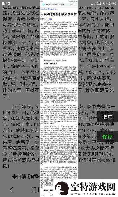 深入浅出TXL-金银花笔趣：精彩内容不容错过！