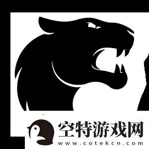innersh1ne：不会因没和队员一起参加某些比赛而抱怨！
