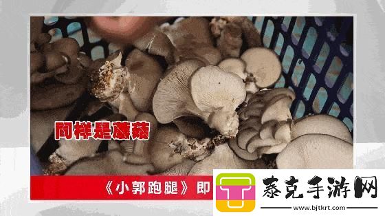 “蘑菇哥”狂潮来袭-科技圈谁与争锋！！