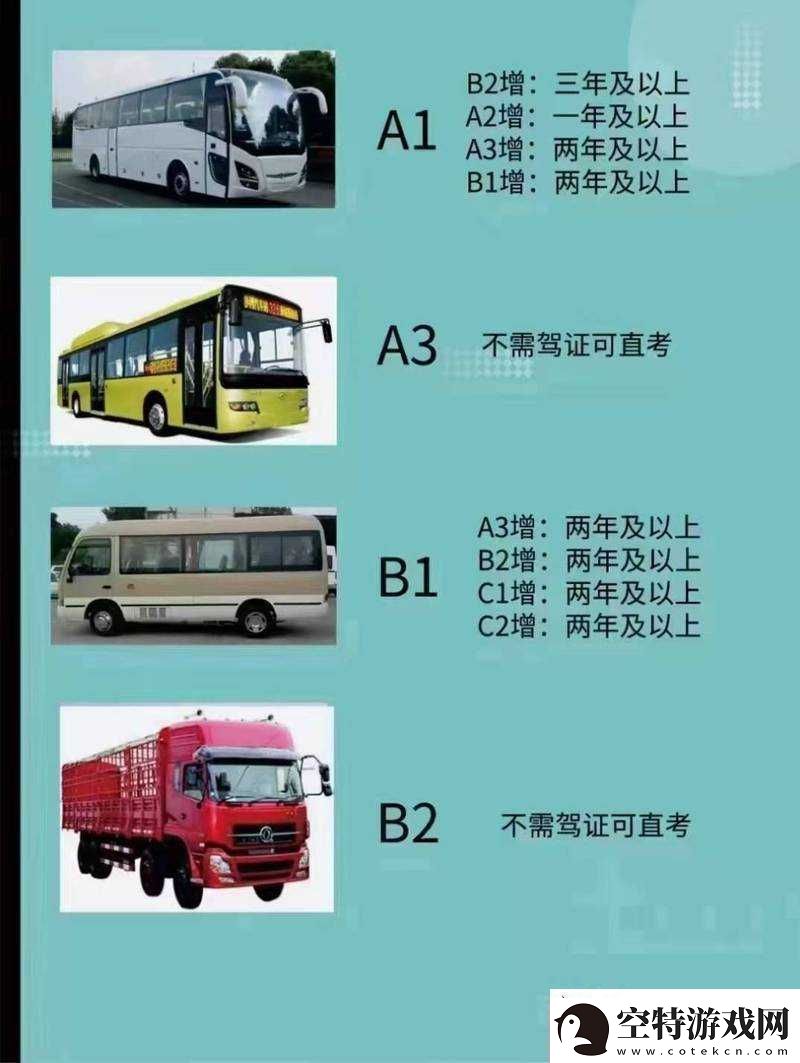 国产-A1a2a317c-的独特魅力与价值！