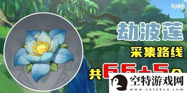 原神劫波莲采集位置分享-原神劫波莲采集分布图！