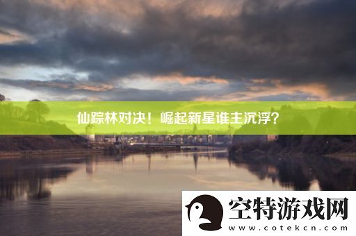 仙踪林对决！崛起新星谁主沉浮！