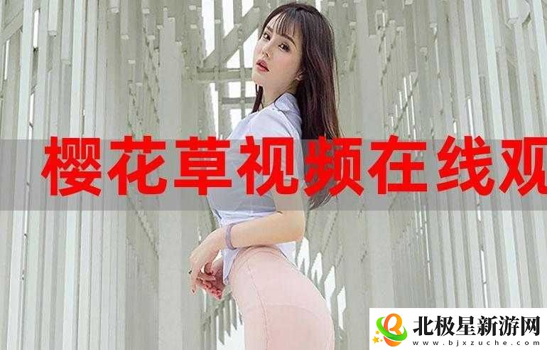 鲁大师影院在线观看：高清流畅免费畅享