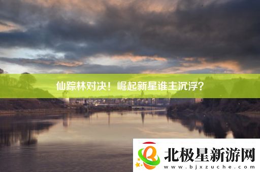 仙踪林对决！崛起新星谁主沉浮