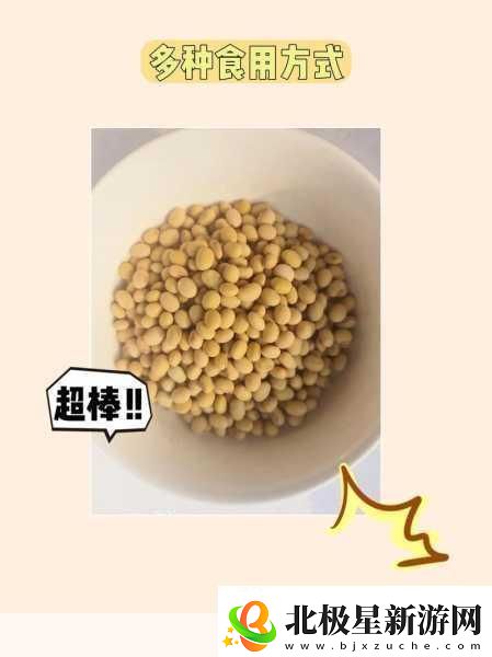 男女一起努力做豆浆的乐趣与技巧-1.-男女携手共创美味豆浆的快乐之旅
