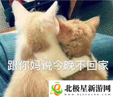 妈妈说今晚爸爸不回家缘由
