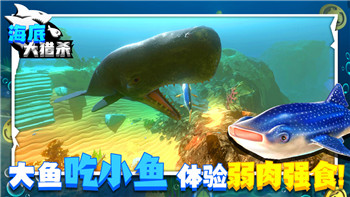 地下城堡3服务器的新变化与玩家体验解析，如何影响未来的游戏发展？