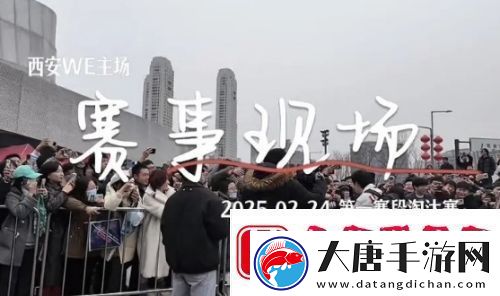 LPL现场女粉殴打工作人员