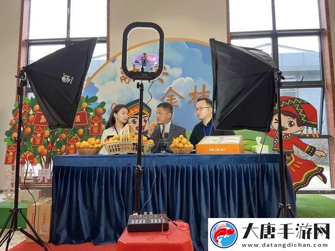 金桔直播：让每一次互动都充满温度